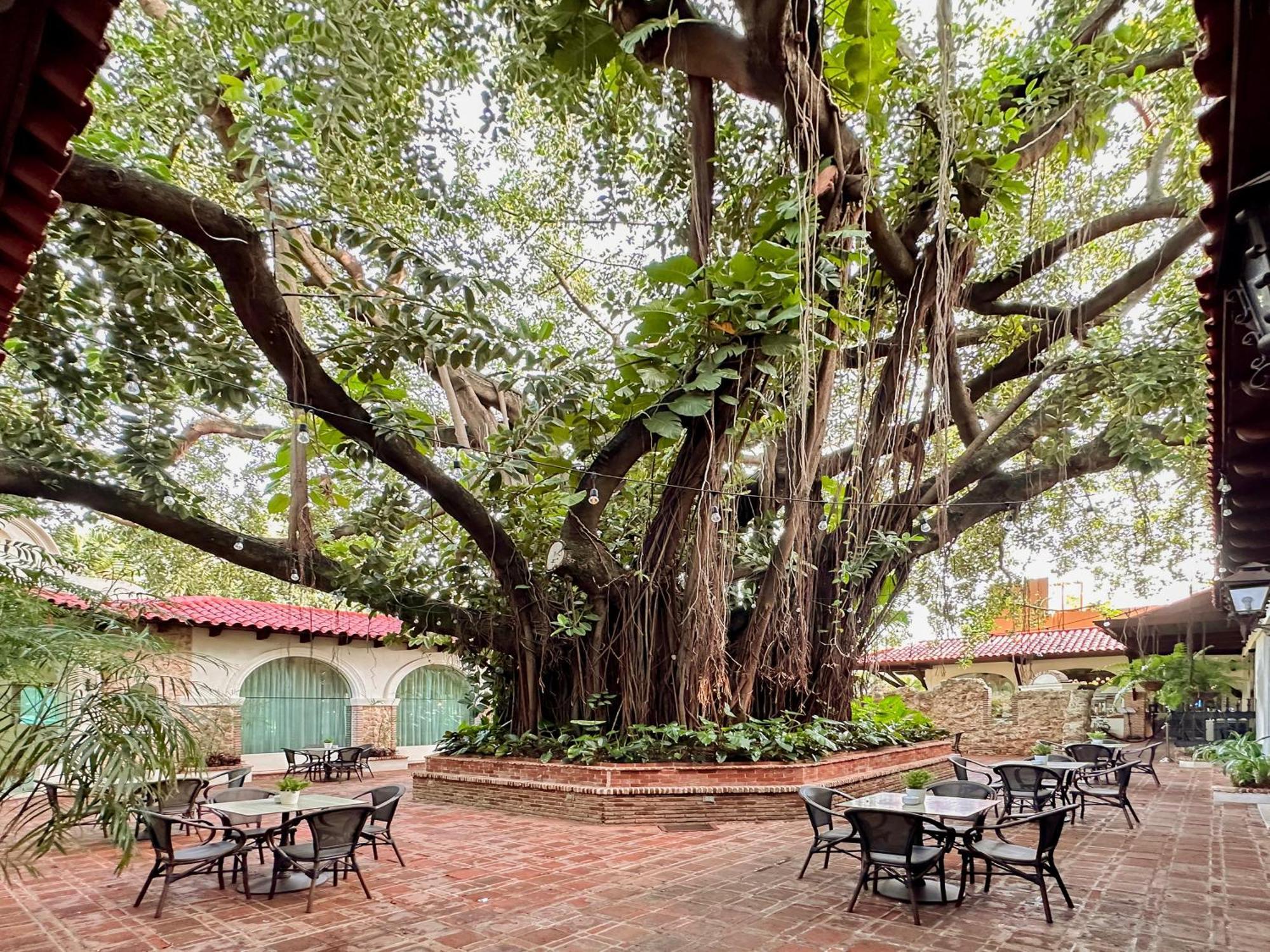 El Embajador, A Royal Hideaway Hotel Санто Доминго Екстериор снимка The Banyan Tree at the Banyan Resort
